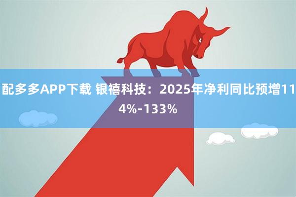 配多多APP下载 银禧科技：2025年净利同比预增114%-133%
