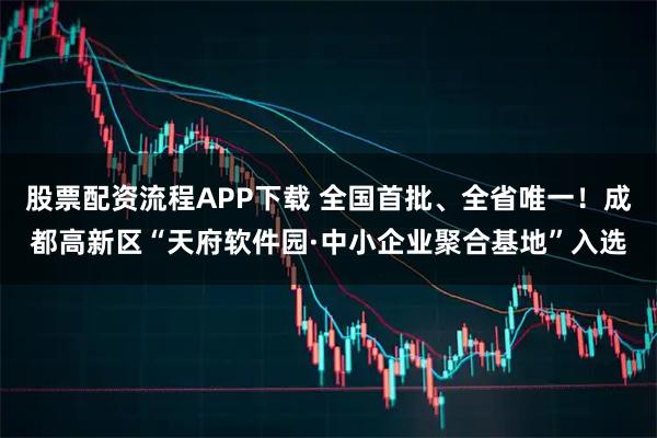 股票配资流程APP下载 全国首批、全省唯一！成都高新区“天府软件园·中小企业聚合基地”入选